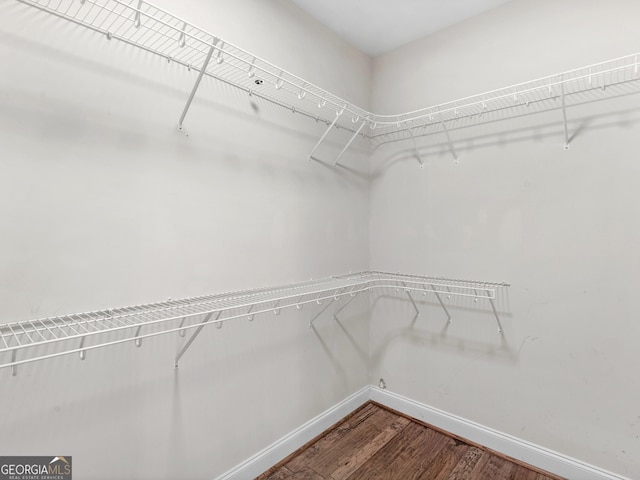 spacious closet with hardwood / wood-style flooring