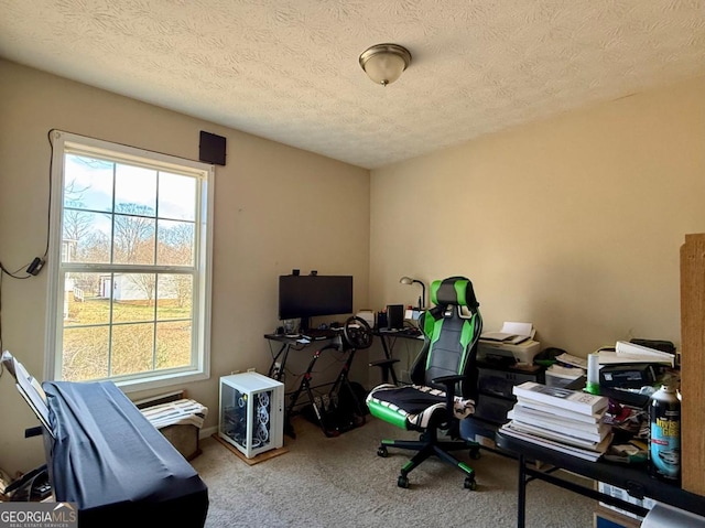 office with carpet floors and a textured ceiling