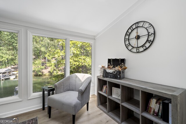 living area with light hardwood / wood-style flooring and lofted ceiling