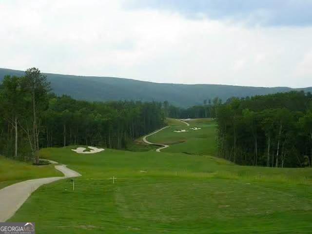 view of property's community with a yard