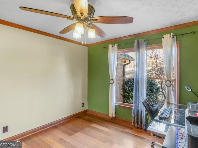 unfurnished office featuring ceiling fan, light hardwood / wood-style floors, a textured ceiling, and ornamental molding