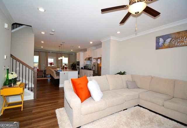 living room featuring dark hardwood / wood-style flooring, ceiling fan, and crown molding