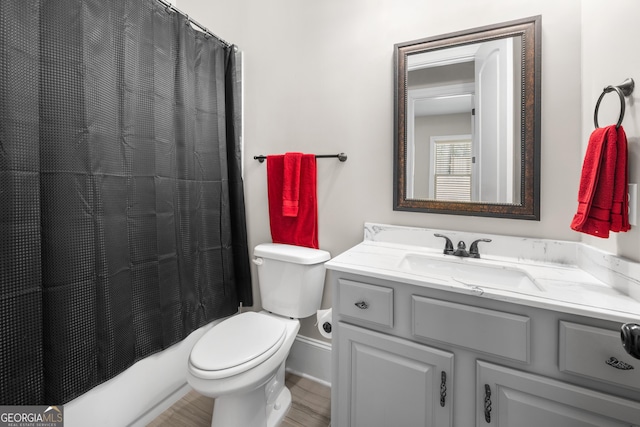 bathroom featuring vanity, toilet, and wood-type flooring