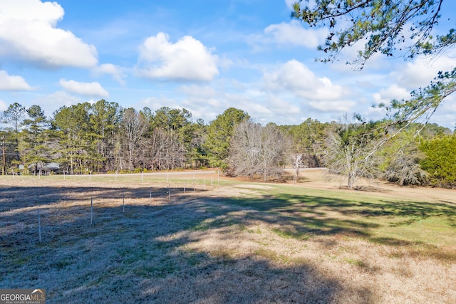 view of yard featuring a rural view