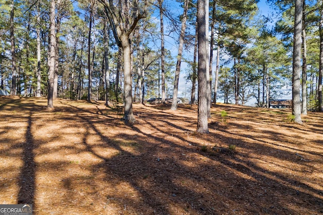 view of local wilderness