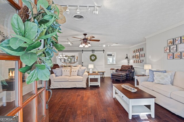 living room with a textured ceiling, a barn door, rail lighting, and dark hardwood / wood-style flooring