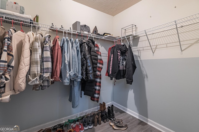 view of walk in closet