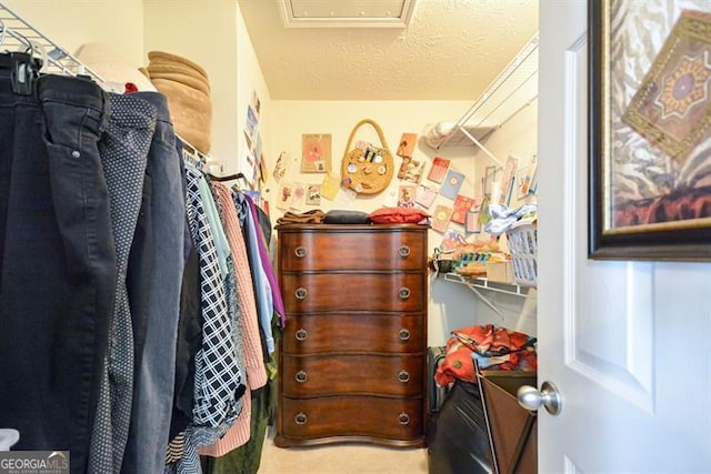 view of walk in closet