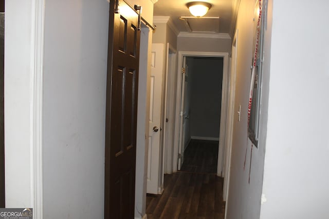 corridor featuring dark hardwood / wood-style floors and ornamental molding