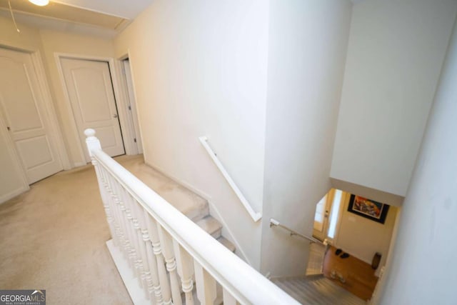 staircase featuring carpet floors