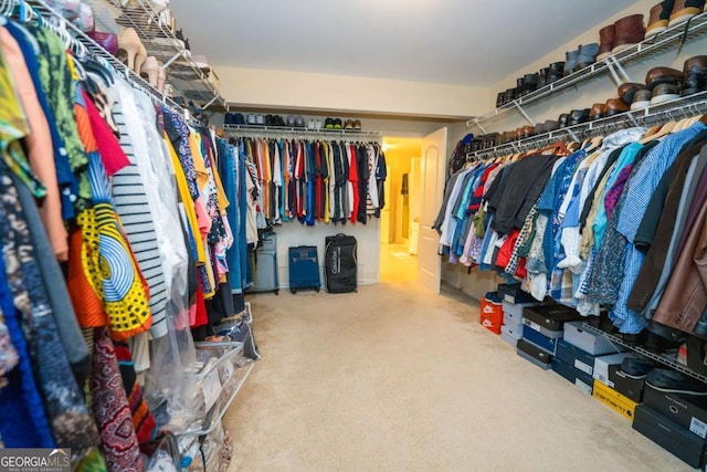 spacious closet featuring carpet flooring