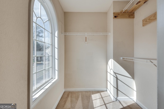 spacious closet with light carpet