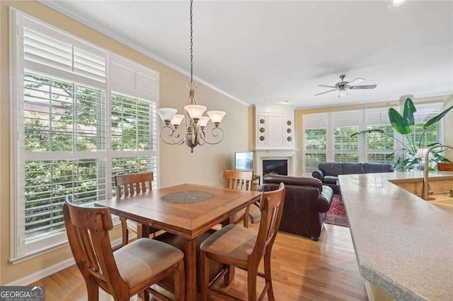 dining room featuring ceiling fan with notable chandelier, light wood-type flooring, ornamental molding, and a wealth of natural light