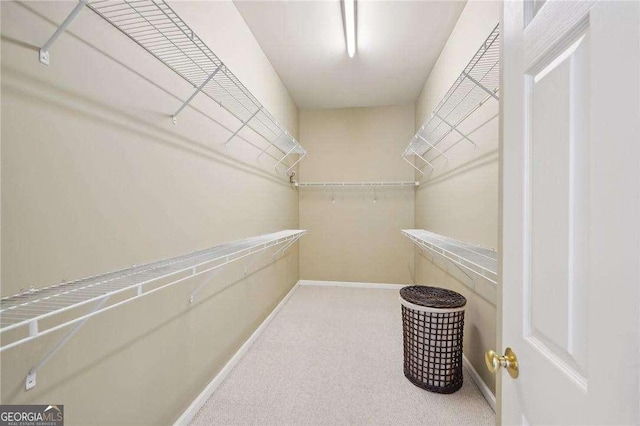 spacious closet with carpet flooring