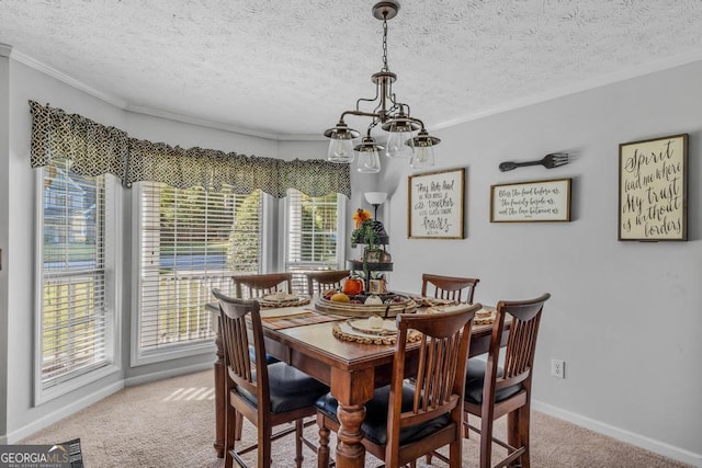 dining room with carpet flooring, a textured ceiling, and ornamental molding