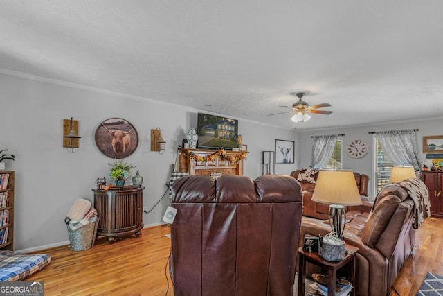 living room featuring ceiling fan, light hardwood / wood-style floors, and ornamental molding