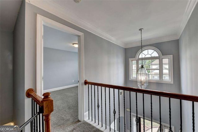 hall with crown molding and carpet floors