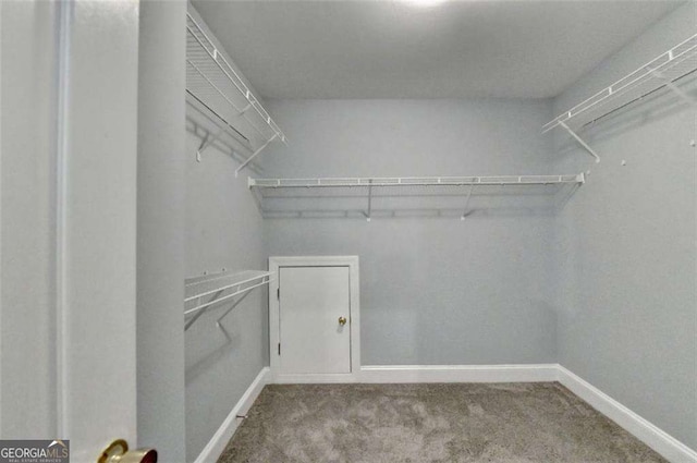 walk in closet with carpet