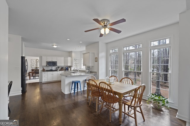 dining space with ceiling fan, sink, and dark wood-type flooring