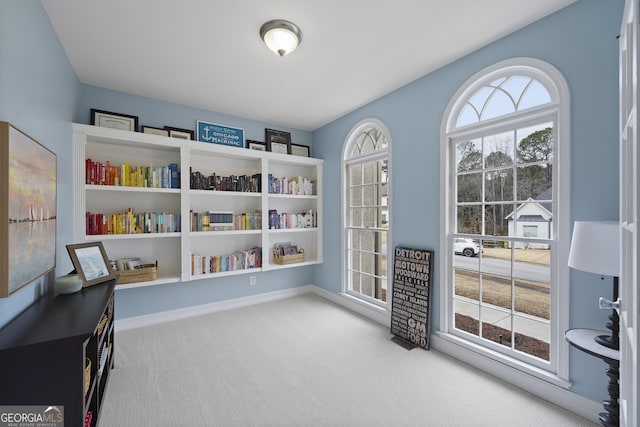 interior space with carpet floors