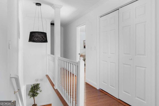 hall featuring crown molding and hardwood / wood-style flooring