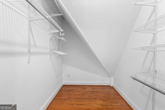 walk in closet with hardwood / wood-style flooring