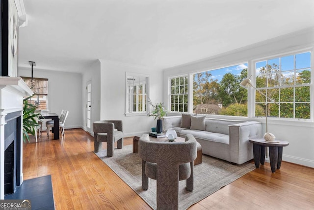 living room featuring a wealth of natural light and hardwood / wood-style flooring