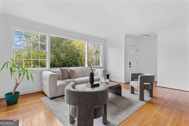 living room with light wood-type flooring and ornamental molding