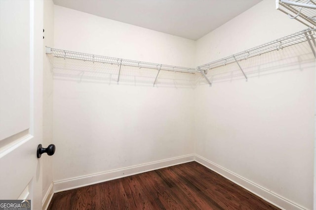 walk in closet with wood-type flooring