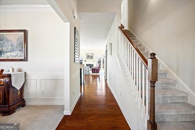 hall featuring carpet flooring and crown molding