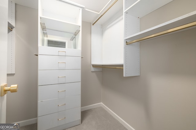 view of walk in closet