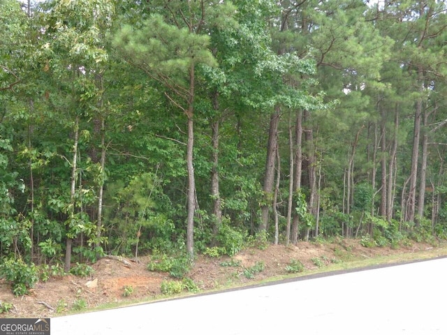 Listing photo 2 for 0000 Pope Rd, Douglasville GA 30135