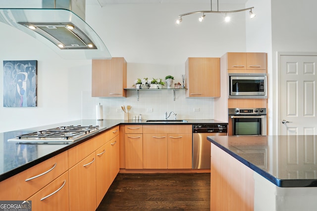 kitchen with dark wood-type flooring, sink, decorative backsplash, appliances with stainless steel finishes, and island range hood