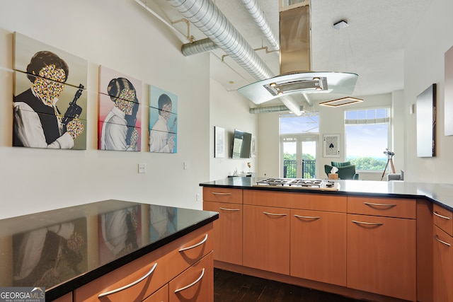 kitchen with island range hood, dark hardwood / wood-style flooring, and stainless steel gas cooktop