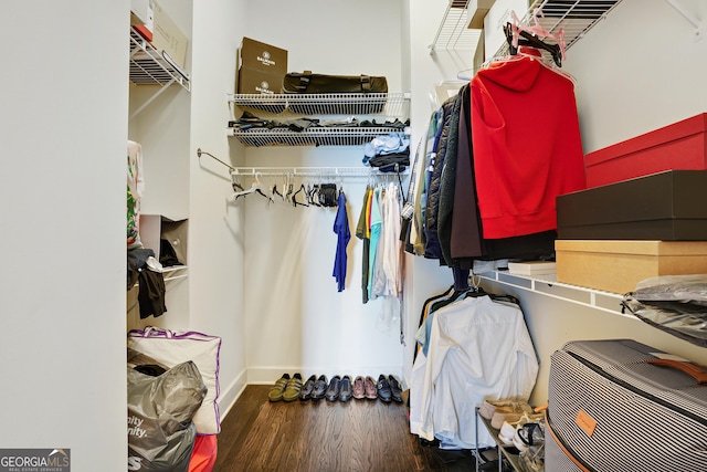 walk in closet with dark wood-type flooring