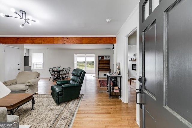 living room featuring a chandelier, light hardwood / wood-style flooring, and a wealth of natural light