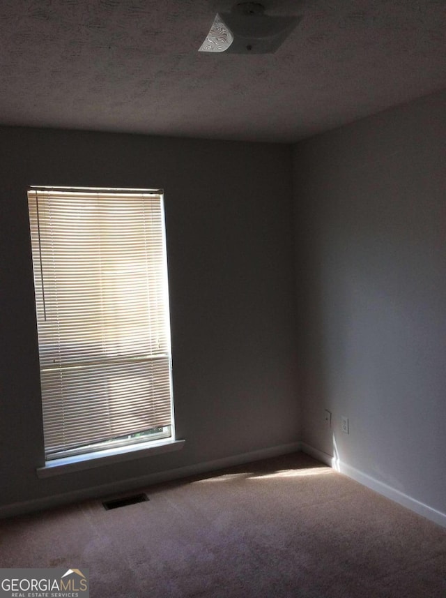 spare room with carpet flooring and a textured ceiling