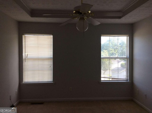 spare room featuring a raised ceiling and ceiling fan