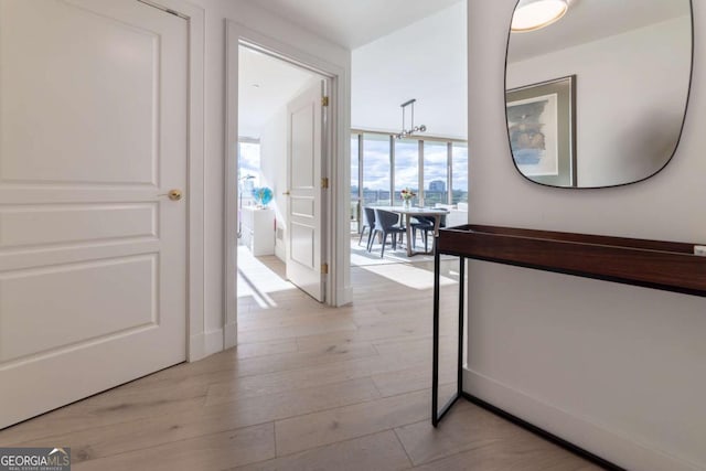 hall with light hardwood / wood-style flooring and a wall of windows