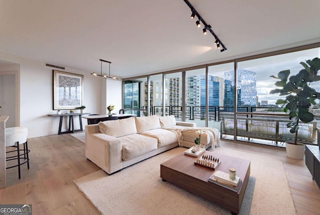 living room with rail lighting, light hardwood / wood-style floors, and expansive windows