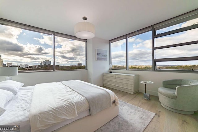 bedroom with hardwood / wood-style flooring