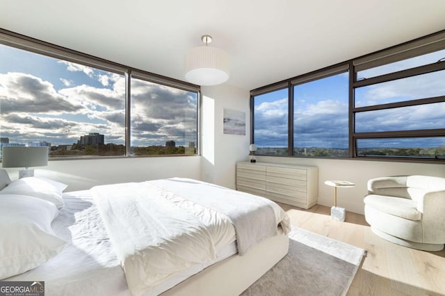 bedroom with light hardwood / wood-style floors