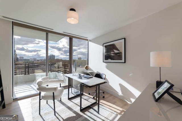 home office featuring light wood-type flooring and a wall of windows