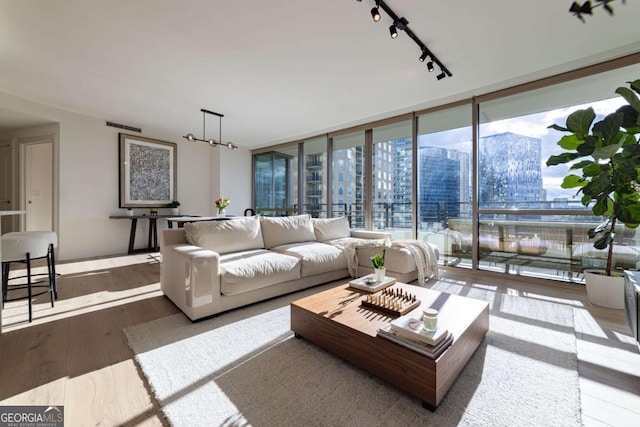 living room with hardwood / wood-style floors, floor to ceiling windows, and rail lighting