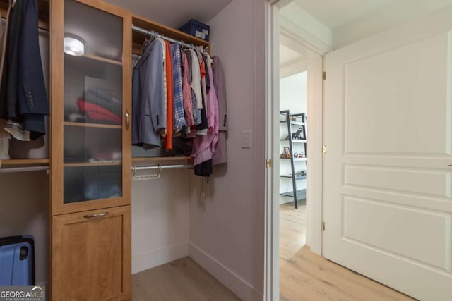 spacious closet with light wood-type flooring