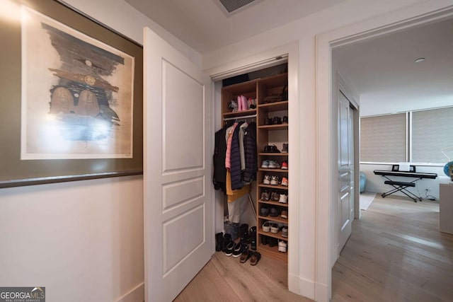 view of closet