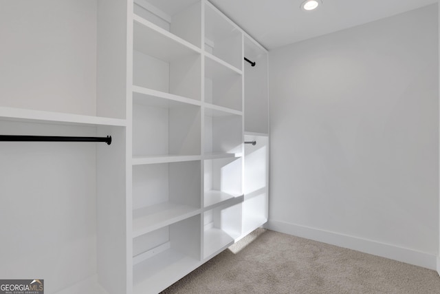 spacious closet with light carpet