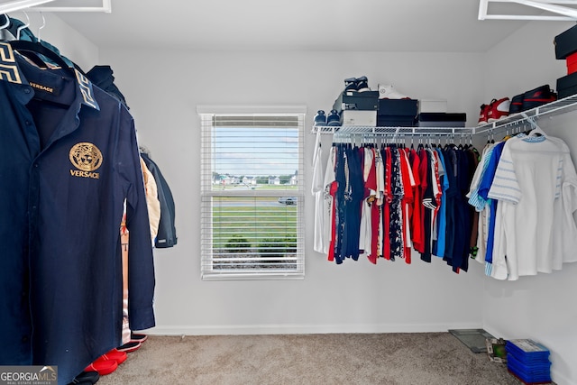 spacious closet featuring carpet