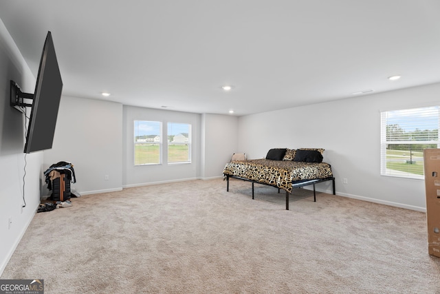 carpeted bedroom with multiple windows