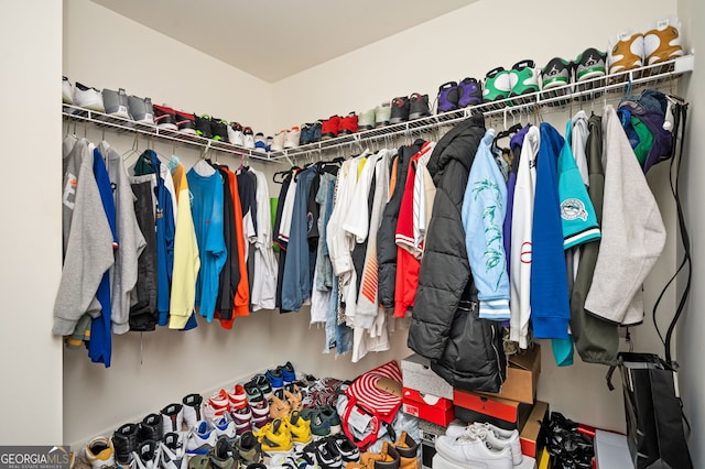 view of spacious closet